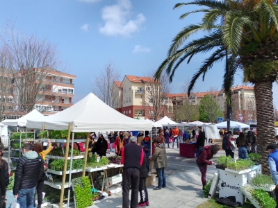 Gran éxito de la II Feria de la Huerta de Cantabria, celebrada en Bezana