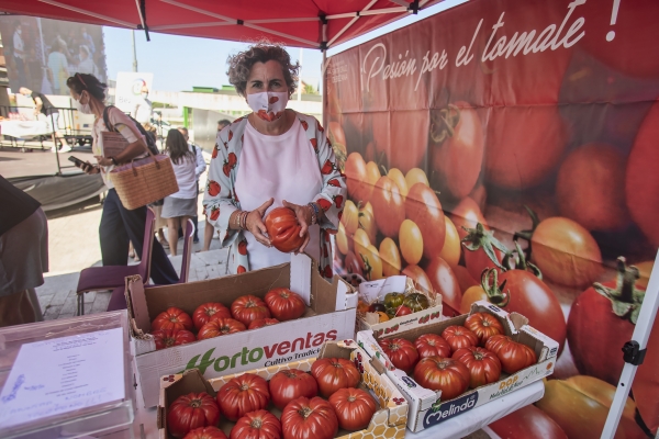 El tomate de Aretxabaleta, elegido el mejor tomate de España en la III Feria Nacional del Tomate Antiguo de Bezana